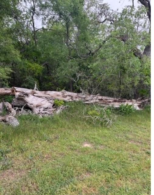 LOT755 Bali Hai Ln, Bastrop, TX 78602