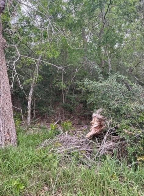 LOT755 Bali Hai Ln, Bastrop, TX 78602