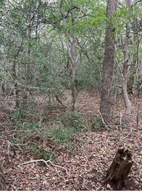 LOT755 Bali Hai Ln, Bastrop, TX 78602