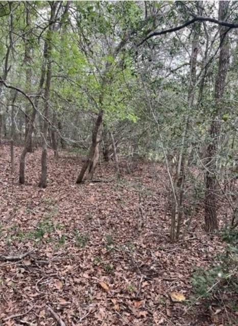 LOT755 Bali Hai Ln, Bastrop, TX 78602