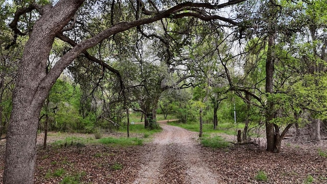 view of street featuring a wooded view