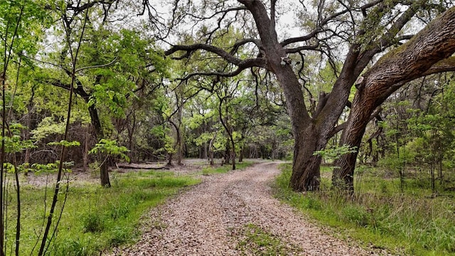 1145 Longhorn Dr, Burnet, TX 78611 - view of road featuring a view of trees