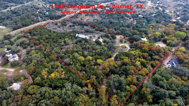 1145 Longhorn Dr, Burnet, TX 78611 - view of property location with property parcel outlined and a forest