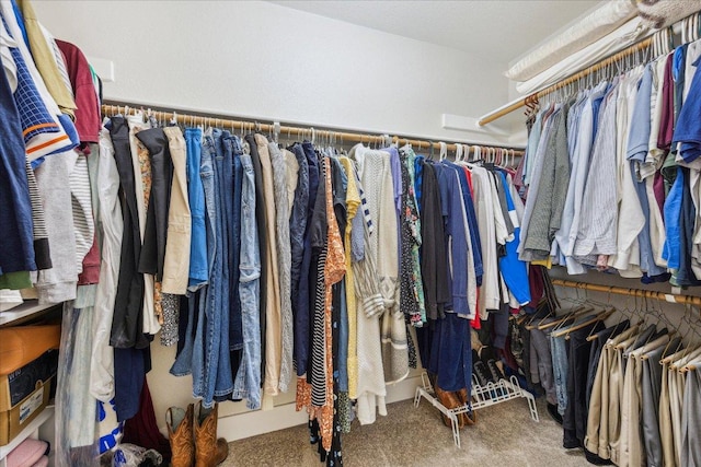 spacious closet featuring carpet