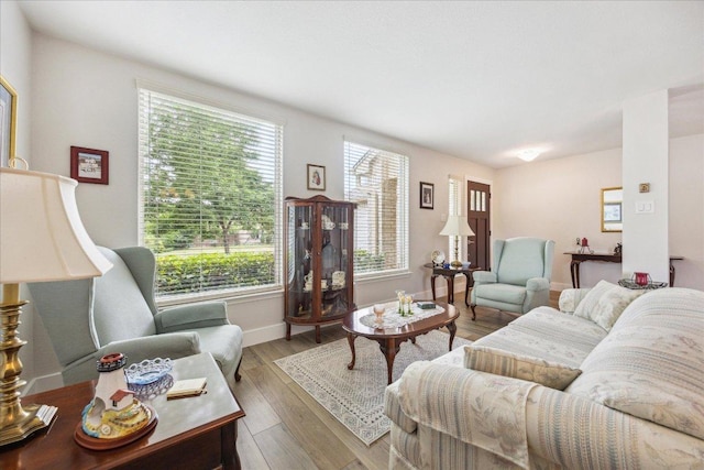 living area with baseboards, wood finished floors, and a healthy amount of sunlight