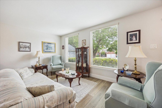living room featuring baseboards and wood finished floors