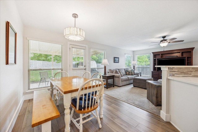dining room featuring baseboards, ceiling fan, and wood finished floors