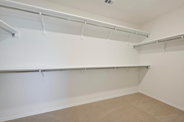 12126 Cantabria Rd, Austin, TX 78748 - spacious closet with light colored carpet
