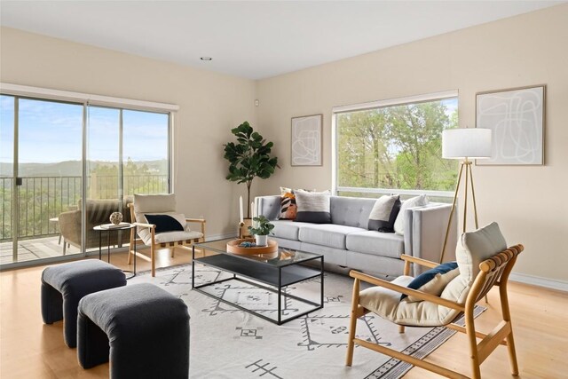 living room featuring baseboards, a healthy amount of sunlight, and light wood-style floors