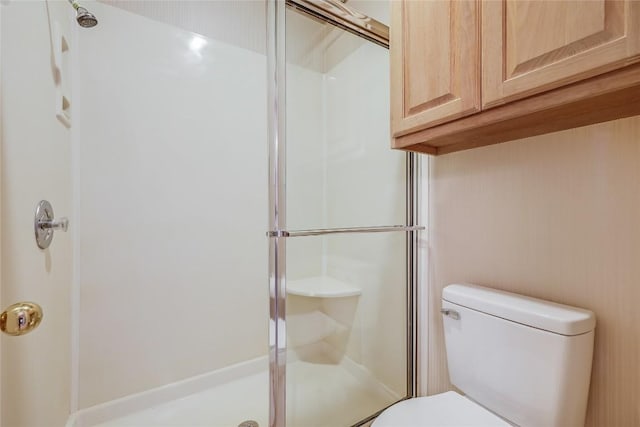 3606 Bunyan Cir, Lago Vista, TX 78645 - bathroom featuring a shower stall and toilet