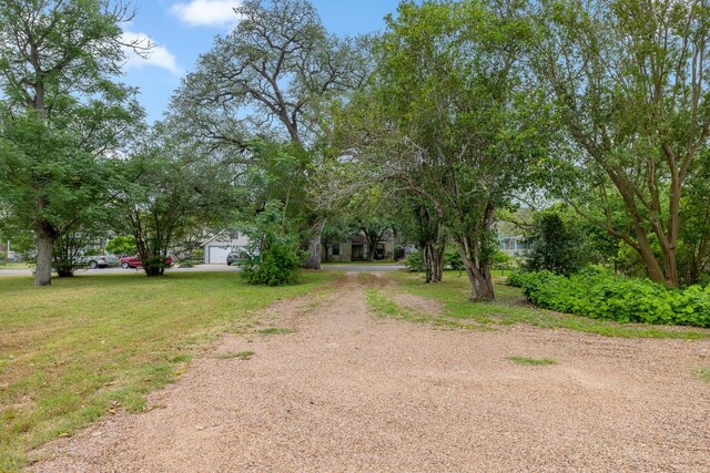 view of yard with driveway