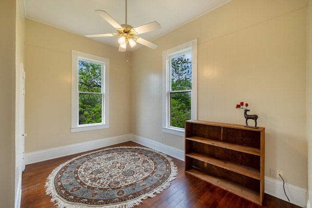 interior space featuring wood-type flooring, ceiling fan, and a wealth of natural light
