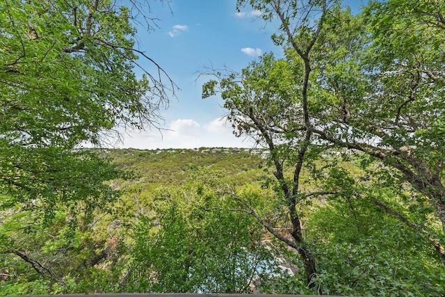 view of local wilderness featuring a view of trees