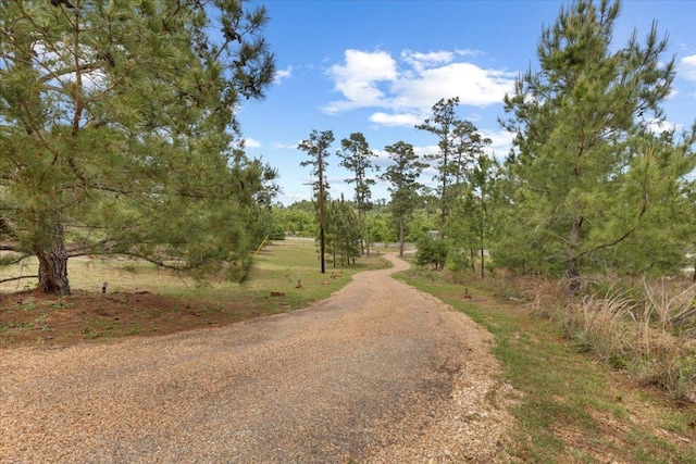 178 Pine Tree Loop, Bastrop, TX 78602 - view of street