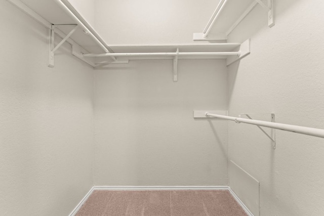 walk in closet with carpet floors