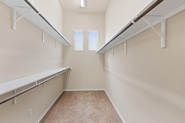 2105 Town Centre Dr Unit 36, Round Rock, TX 78664 - photo 15
