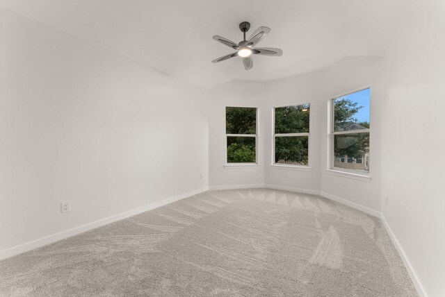 1205 Heppner Dr, Cedar Park, TX 78613 - photo 28