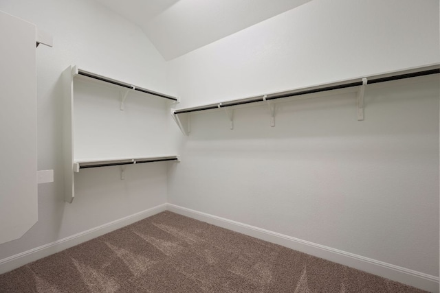 spacious closet featuring vaulted ceiling and carpet