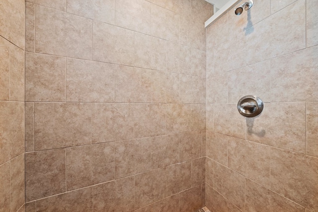 room details with tiled shower