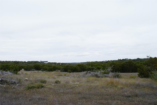 413 E Flying Owl Dr, Johnson City, TX 78636 - view of nature