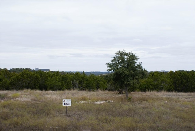 413 E Flying Owl Dr, Johnson City, TX 78636 - view of local wilderness