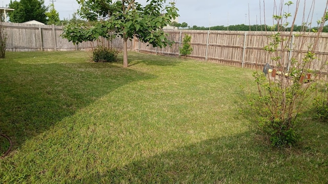 684 Atlantis, Kyle, TX 78640 - view of yard featuring a fenced backyard