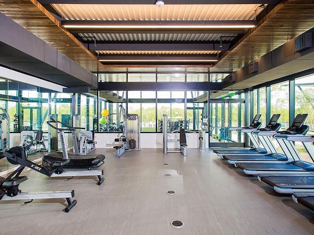 gym featuring floor to ceiling windows and a wealth of natural light