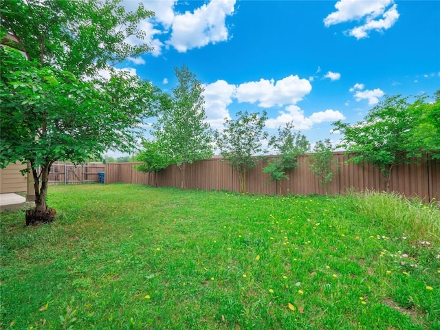 800 Savannah Cv, Elgin, TX 78621 - view of fenced backyard