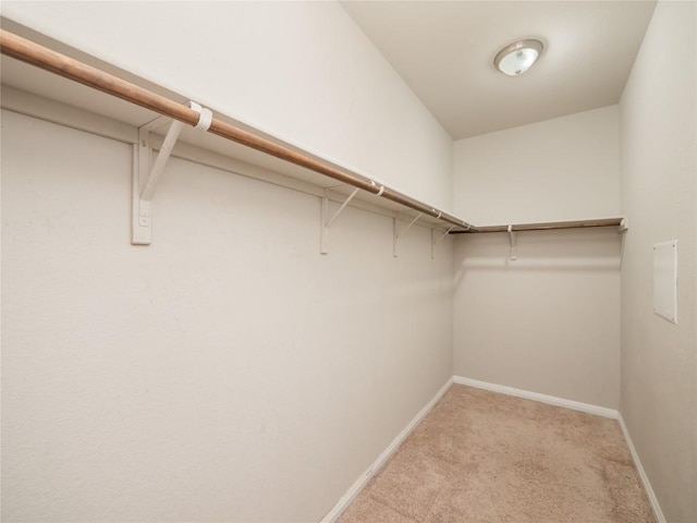 spacious closet with carpet flooring