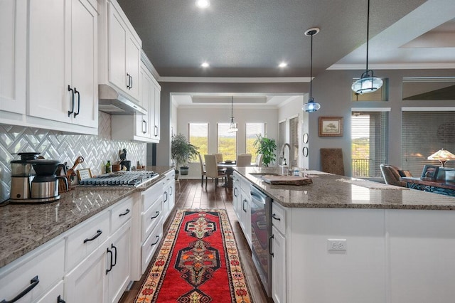 kitchen featuring backsplash, a sink, ornamental molding, under cabinet range hood, and white cabinetry