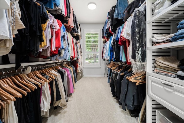walk in closet featuring carpet