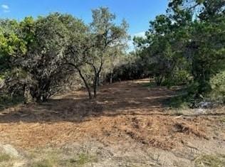 401 Mountain Crest Dr, Wimberley, TX 78676 - photo 3