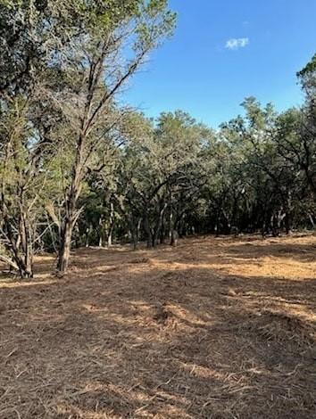401 Mountain Crest Dr, Wimberley, TX 78676 - photo 4
