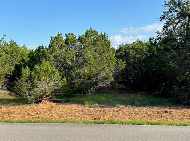 401 Mountain Crest Dr, Wimberley, TX 78676 - photo 5