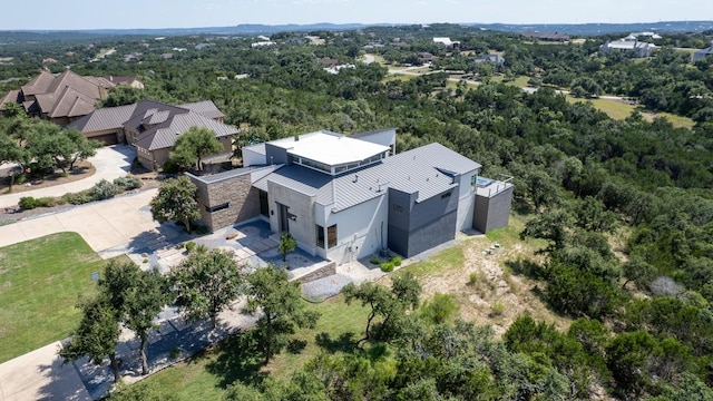 bird's eye view