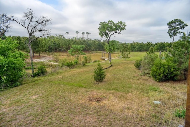 125 Turkey Trot Rd, Smithville, TX 78957 - view of yard
