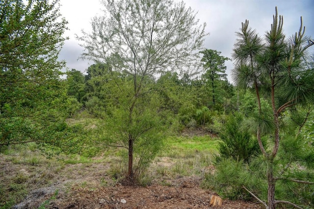 125 Turkey Trot Rd, Smithville, TX 78957 - view of landscape with a wooded view