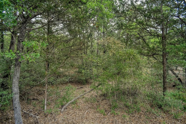 125 Turkey Trot Rd, Smithville, TX 78957 - view of local wilderness with a view of trees