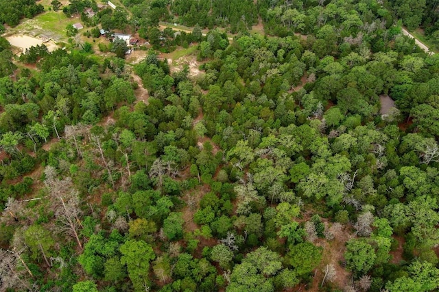 125 Turkey Trot Rd, Smithville, TX 78957 - birds eye view of property