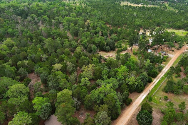 125 Turkey Trot Rd, Smithville, TX 78957 - birds eye view of property featuring a view of trees