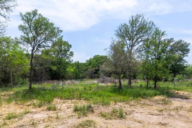 view of local wilderness featuring a wooded view
