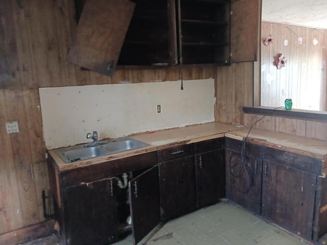 kitchen with a sink, open shelves, and wood walls