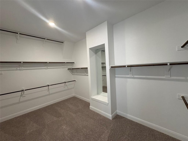 1728 Scenic Heights Ln, Georgetown, TX 78628 - spacious closet featuring carpet floors