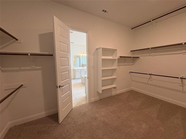 1728 Scenic Heights Ln, Georgetown, TX 78628 - spacious closet with carpet floors