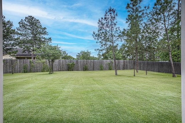 141 Awehi Ln, Bastrop, TX 78602 - view of yard