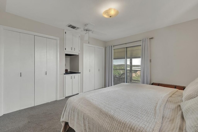 1871 Patty Dr, Canyon Lake, TX 78133 - bedroom with multiple closets and dark colored carpet