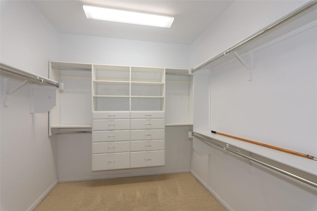 spacious closet featuring light colored carpet