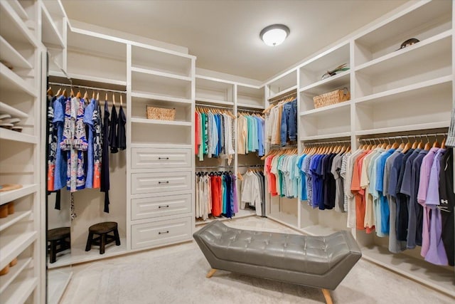 5525 City Park Rd Unit 6, Austin, TX 78730 - view of walk in closet