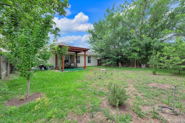 view of yard featuring a fenced backyard and a patio area