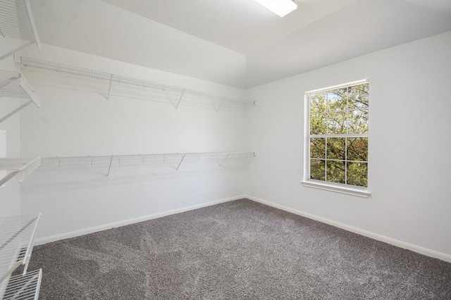18816 Sandy Shore Dr, Pflugerville, TX 78660 - spacious closet with carpet